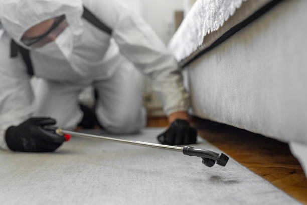 Professional Bed Bug Control technician working in New Town, ND