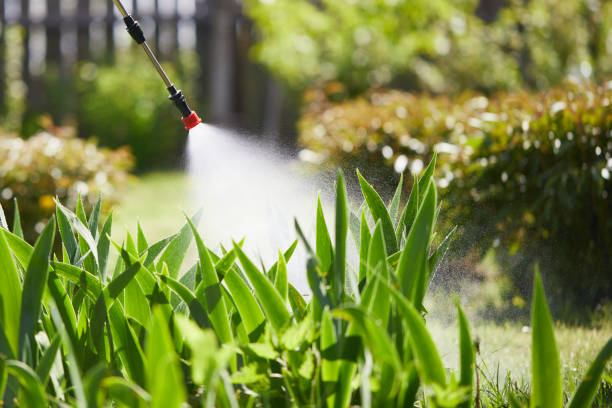 24/7 Emergency Bed Bug Control experts in New Town, ND