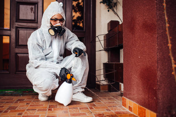 Reliable Bed Bug Control contractor in New Town, ND by Nex Pest Control