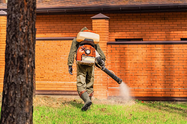Top rated local Bed Bug Control specialists in New Town, ND